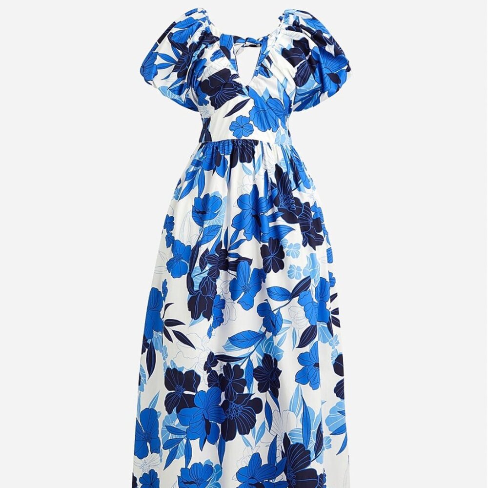 J. Crew Cecily dress in painted floral print